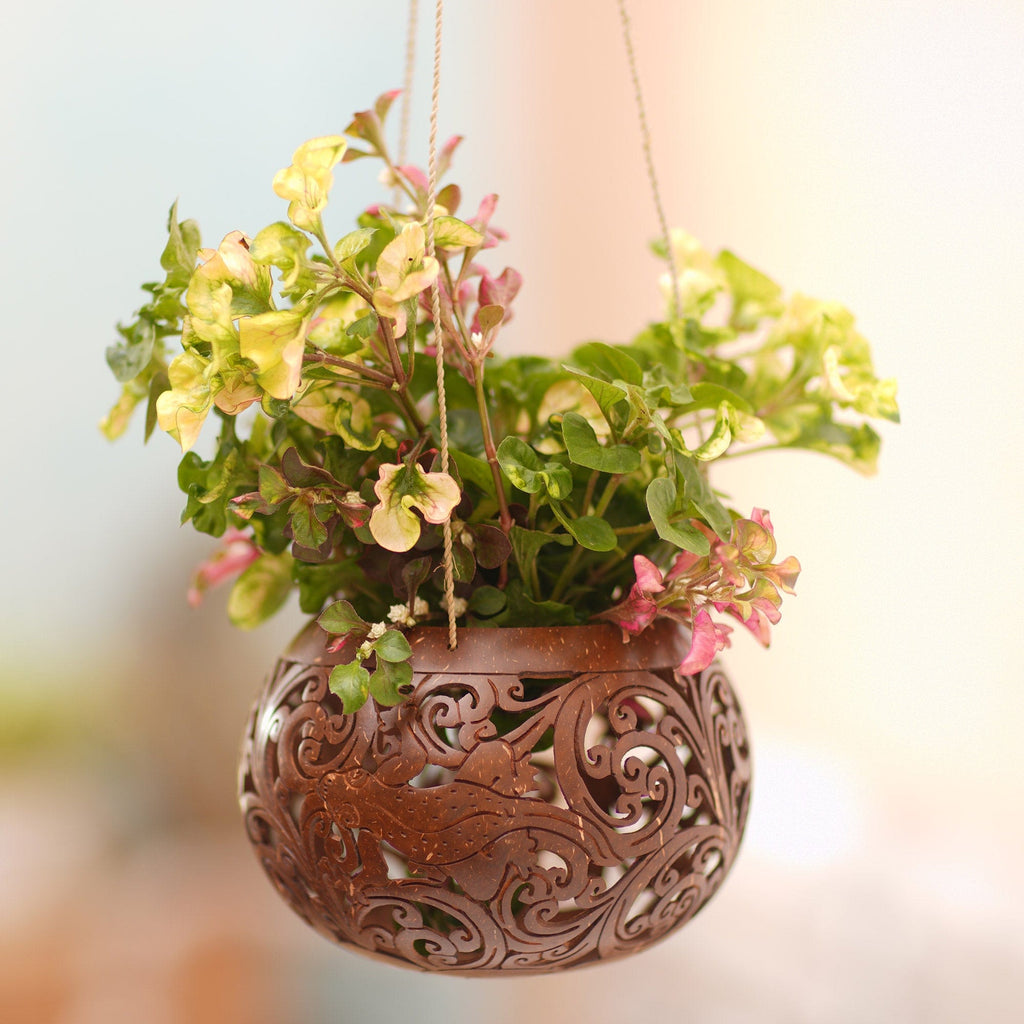 Hand Made Coconut Shell Hanging Planter - Tropical House in Lizard