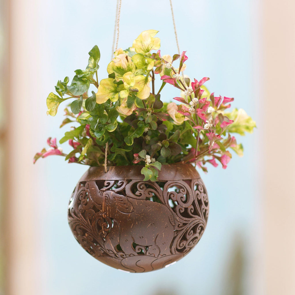 Hand Crafted Coconut Shell Hanging Planter - Tropical House in Elephant