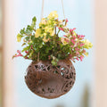 Hand Crafted Coconut Shell Hanging Planter - Tropical House in Elephant