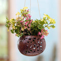 Artisan Crafted Coconut Shell Hanging Planter - Tropical House in Bloom