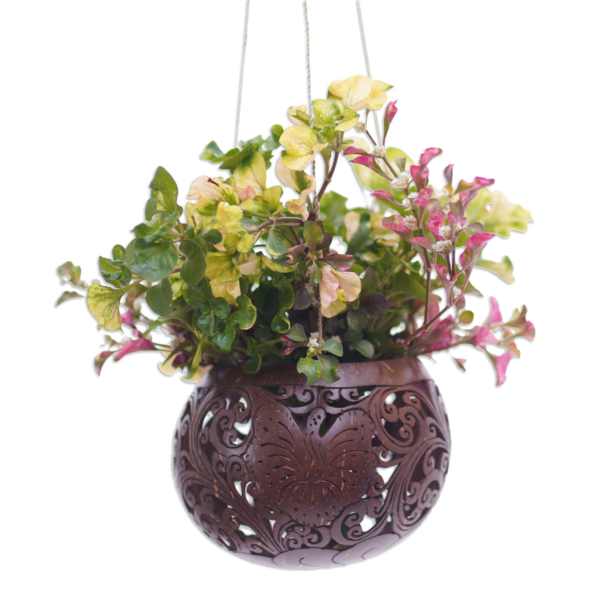 Artisan Crafted Coconut Shell Hanging Planter - Tropical House in Bloom