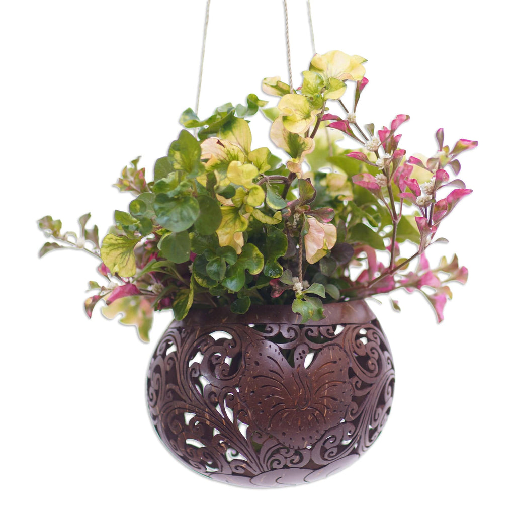 Artisan Crafted Coconut Shell Hanging Planter - Tropical House in Bloom