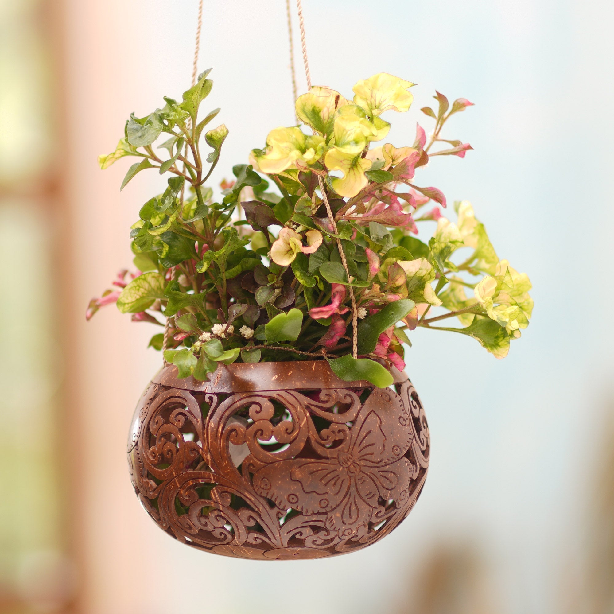 Handmade Coconut Shell Hanging Planter from Bali - Tropical House in Butterfly