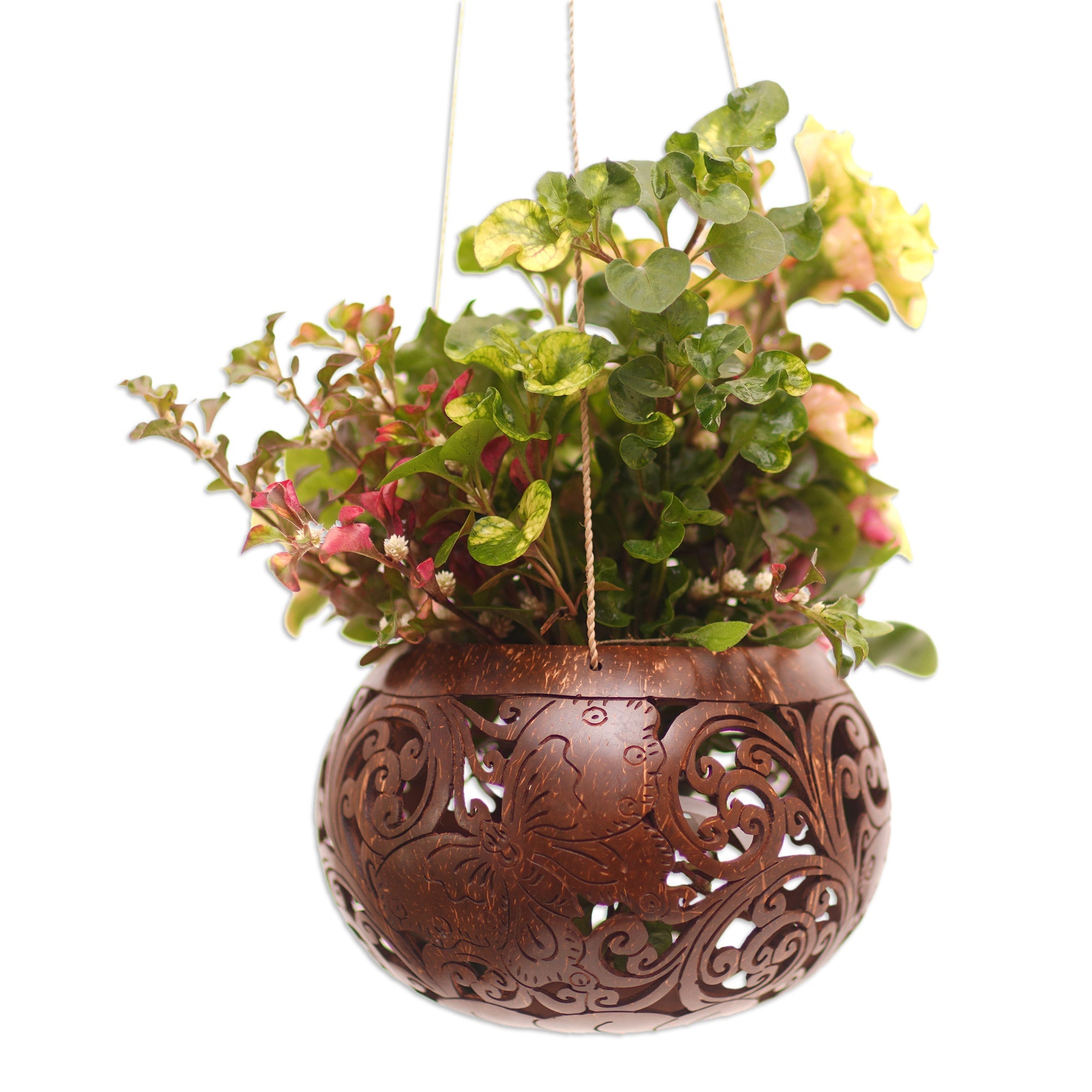 Handmade Coconut Shell Hanging Planter from Bali - Tropical House in Butterfly