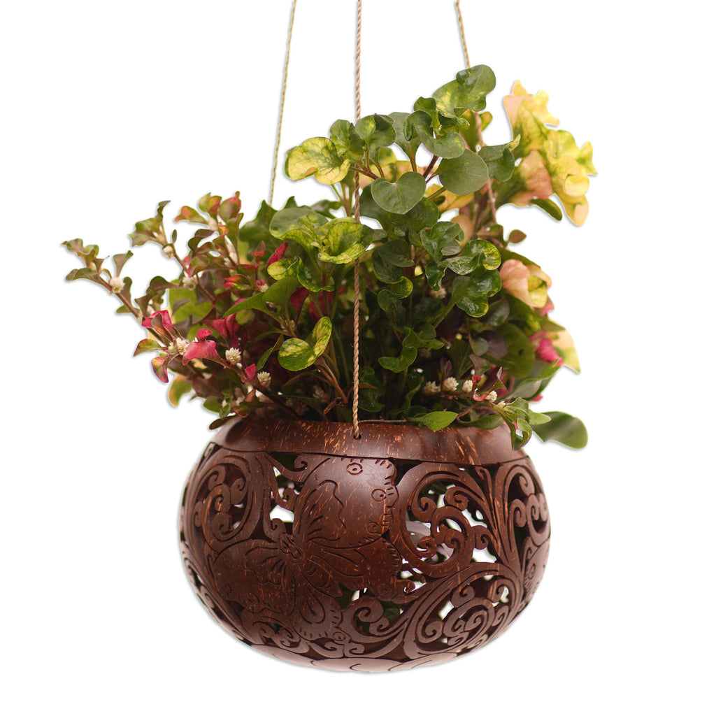 Handmade Coconut Shell Hanging Planter from Bali - Tropical House in Butterfly