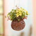 Handcrafted Coconut Shell Hanging Planter from Bali - Tropical House in Turtle