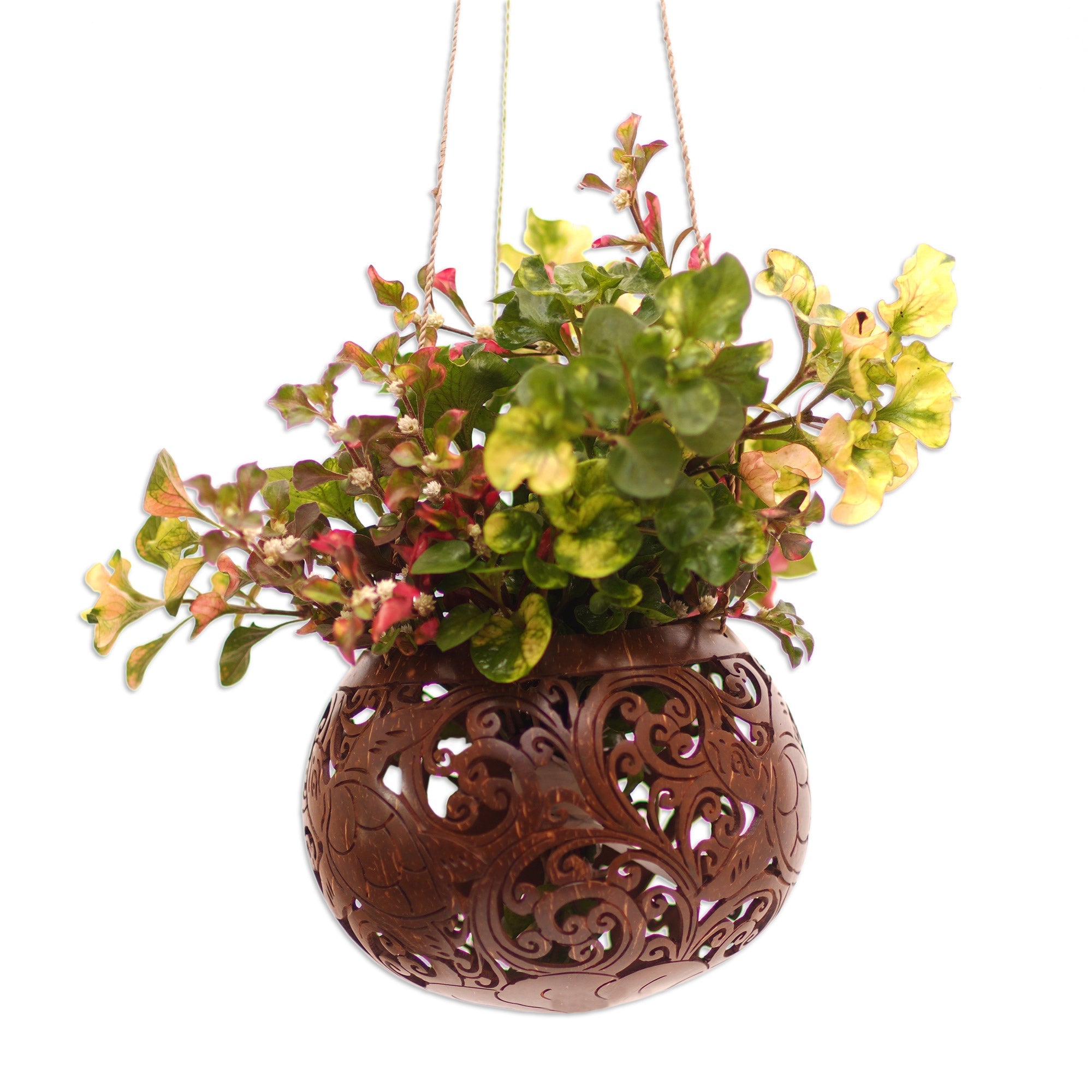 Handcrafted Coconut Shell Hanging Planter from Bali - Tropical House in Turtle